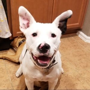 Meet your Posher, Caty